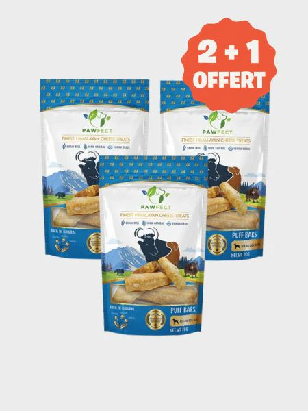 Barres de Fromage de Yak soufflé pour chien - Pawfect