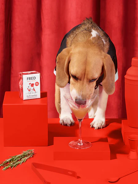 Bouillon pour chien - Boeuf đ et Romarin - Fred & Felia â Image 2