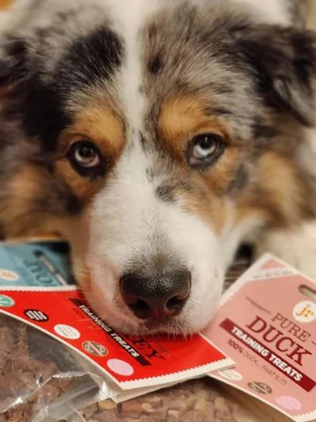 Friandises d'éducation pour chien - Canard 🦆 - JR Pet Products – Image 2