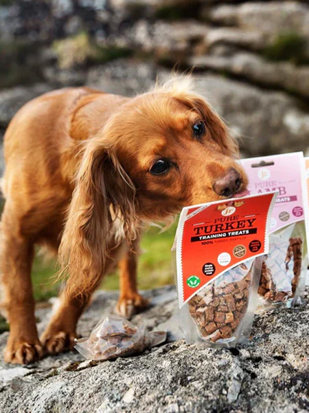 Friandises d'Ă©ducation pour chien - Agneau đ - JR Pet Products â Image 2