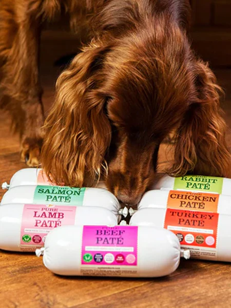 Pâtée naturelle pour chien - Poulet 🐓 - JR Pet Products – Image 4