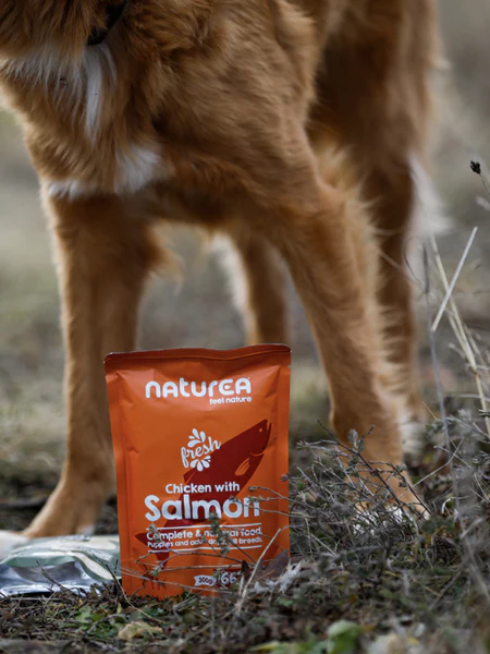 Pâtée pour chien - Recette au Poulet 🐓 et Saumon 🐟 (66%) - Naturea – Image 2
