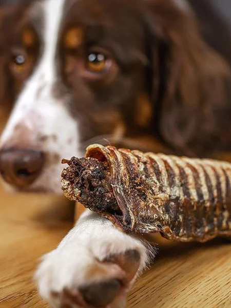 5 trachées de Boeuf fourrées aux superaliments - Cannelloni - Paul & Paulina – Image 2