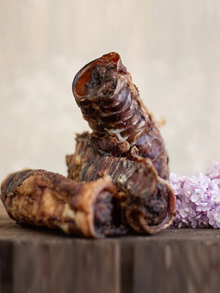 5 trachées de Boeuf fourrées aux superaliments - Cannelloni - Paul & Paulina – Image 3