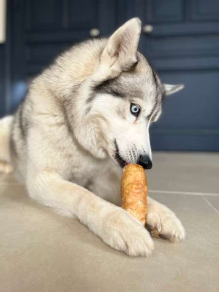 Barres de Fromage de Yak soufflé pour chien - Pawfect – Image 5