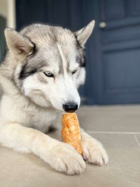 Barres de Fromage de Yak soufflé pour chien - Pawfect – Image 3