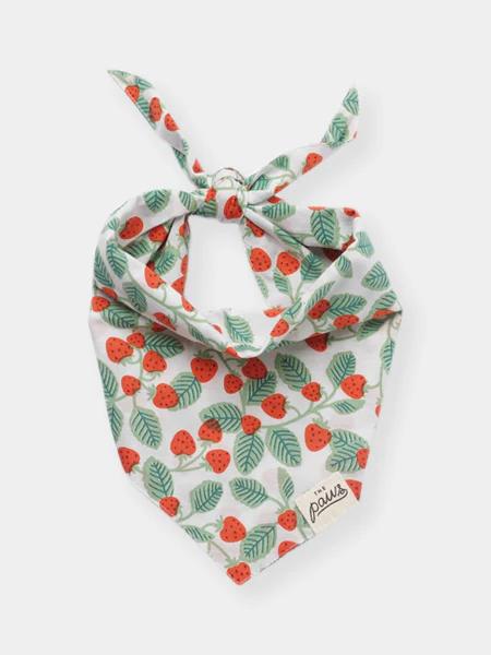 Bandana pour chien - Henley - The Paws