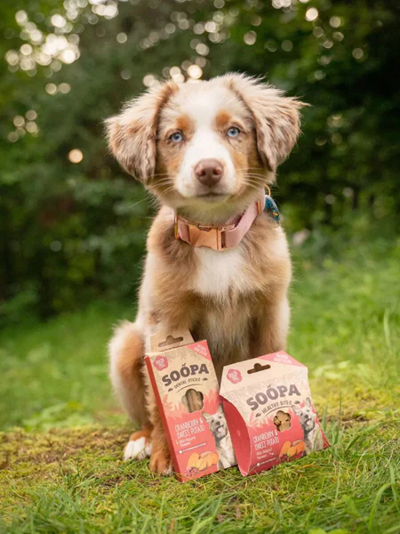 Bâtonnets à mâcher pour chien - Cranberry et Patate douce – Image 3